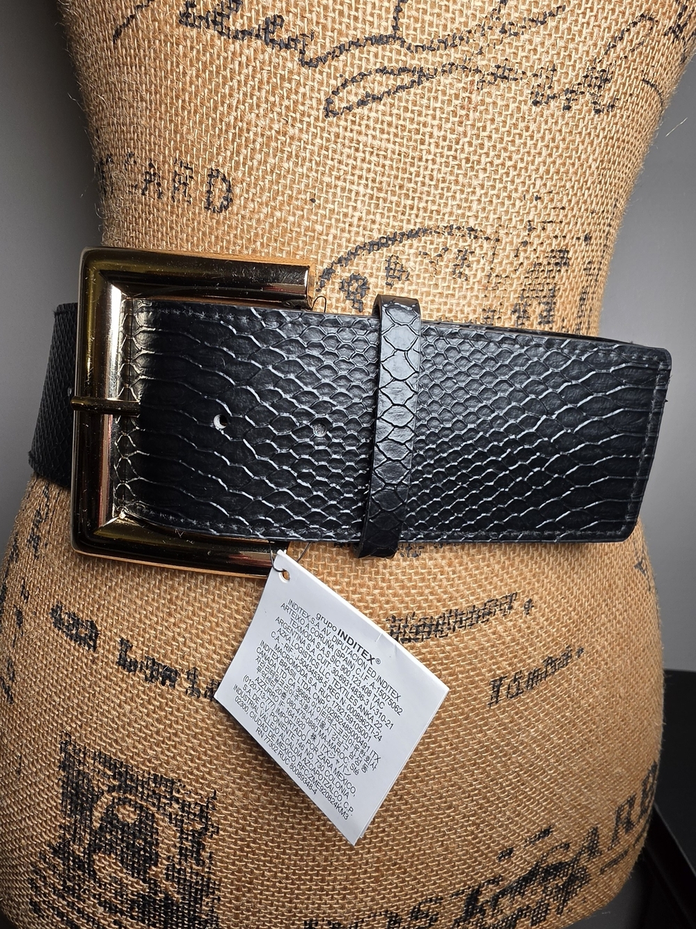 Zara Black Faux-Snake Belt with Gold Buckle